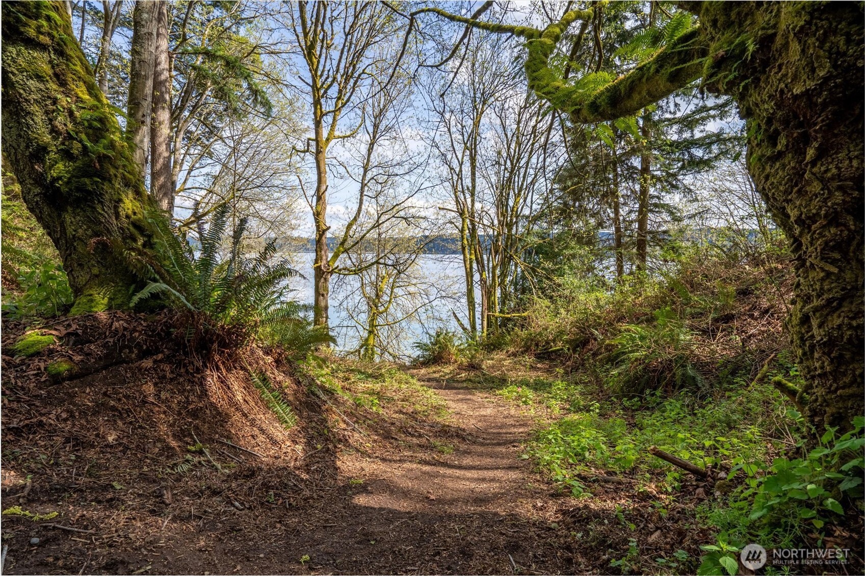 Port Orchard, Washington, 98367, United States, ,Land,For Sale,1767401