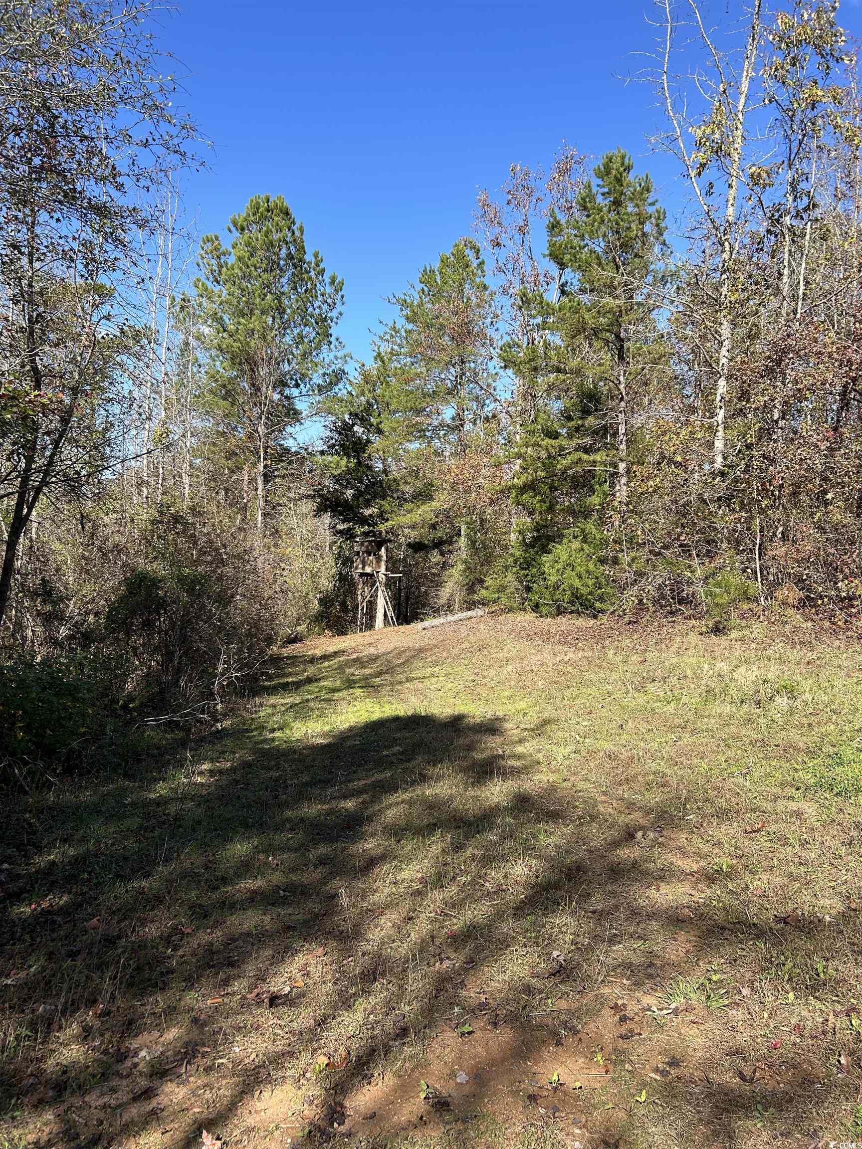  TBD River Fork Rd - 物件實景