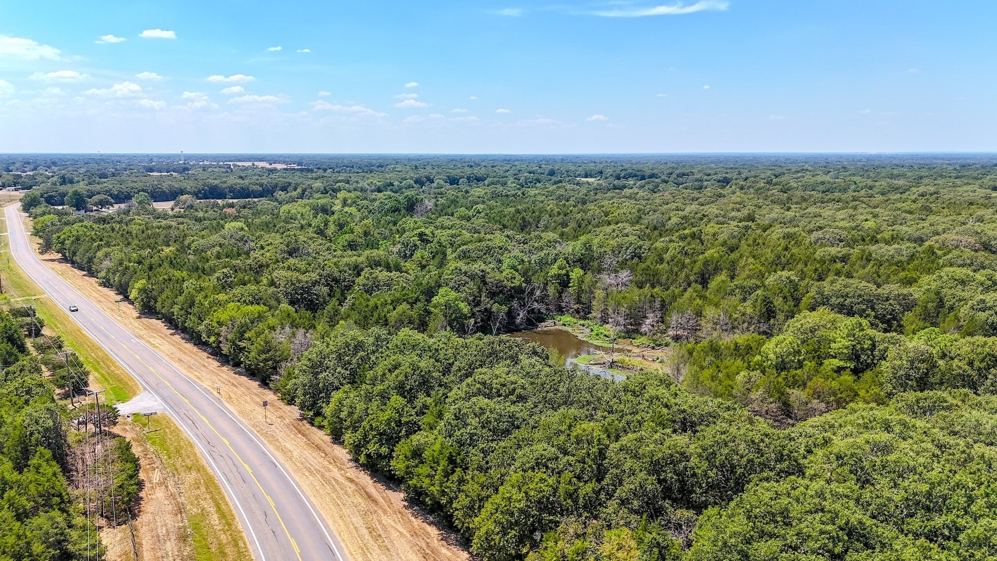 Ivanhoe, Texas, 75447, United States, ,Land,For Sale,1973742