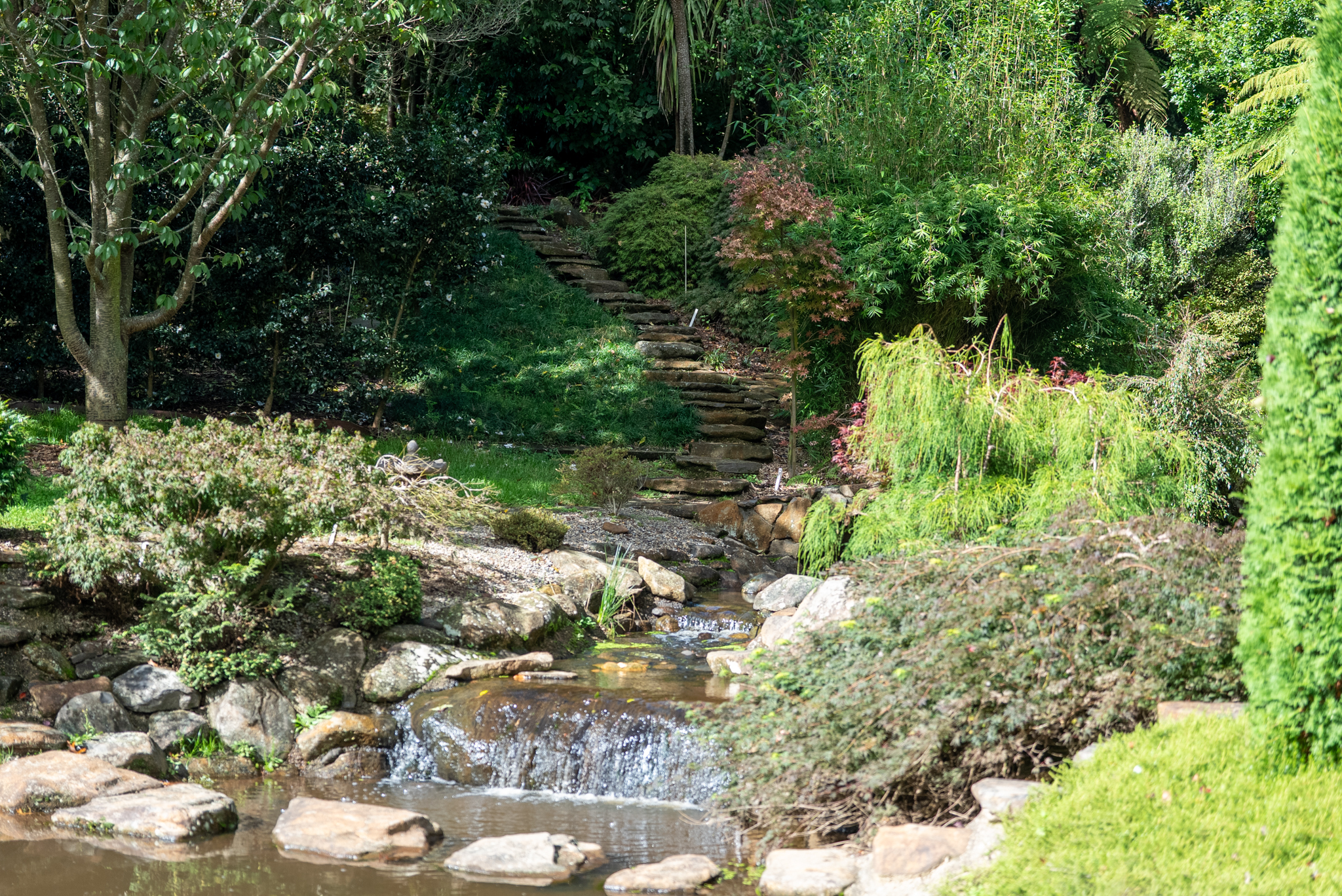  What Dreams are Made of and Memories are Made - 物件實景