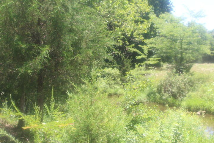 Polk, Missouri, 65727, United States, ,Land,For Sale,1980569