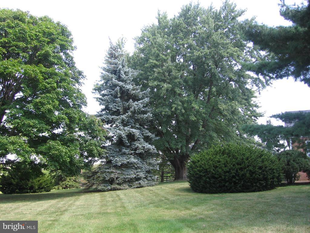 Stephens City, Virginia, 22655, United States, 3 Bedrooms Bedrooms, ,2 BathroomsBathrooms,Residential,For Sale,2001970