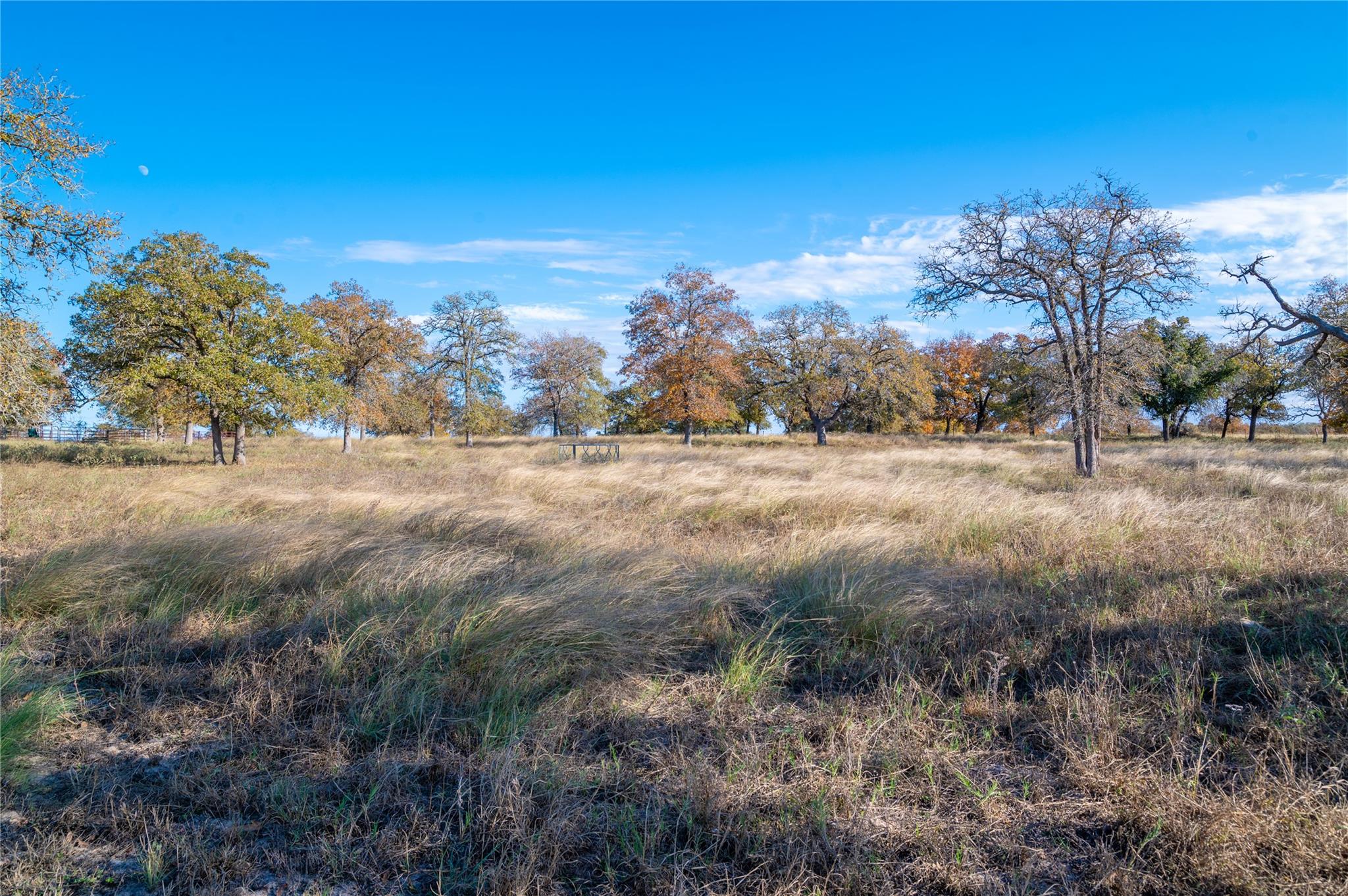 Stockdale, Texas, 78160, United States, 1 Bedroom Bedrooms, ,1 BathroomBathrooms,Residential,For Sale,1937529