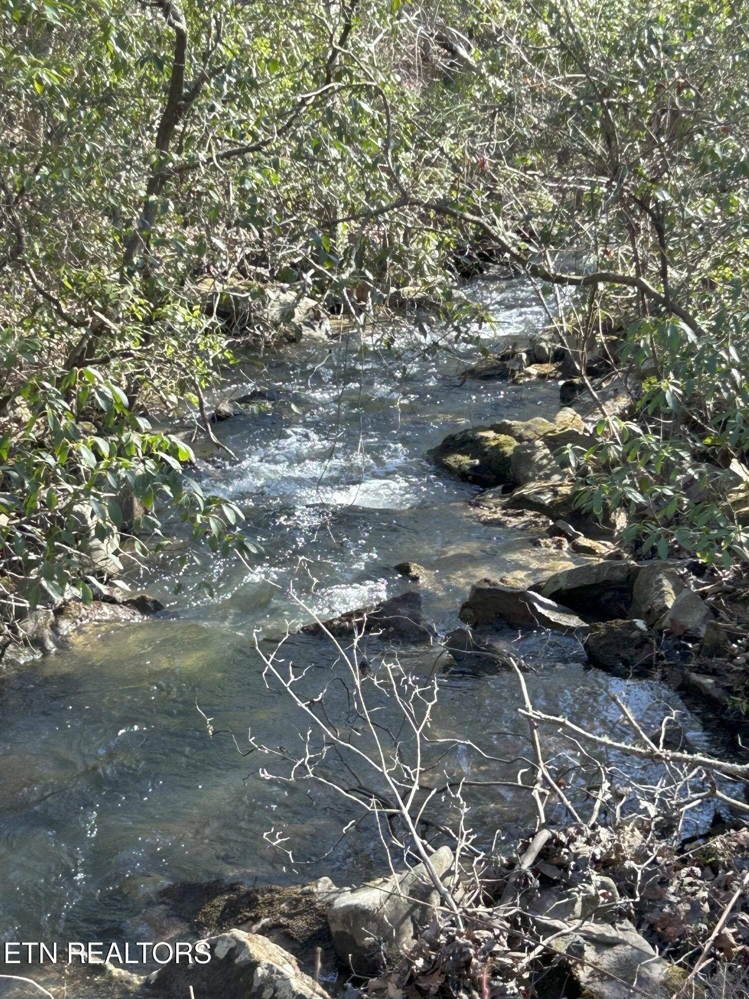 Crossville, Tennessee, 38571, United States, 3 Bedrooms Bedrooms, ,4 BathroomsBathrooms,Residential,For Sale,1979710