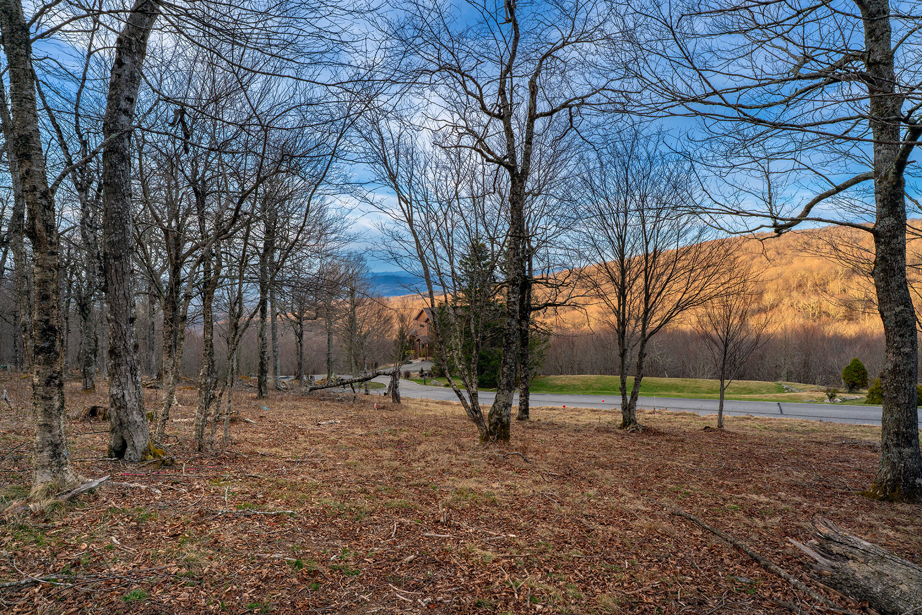  WOODLAND MEADOWS - BEECH MOUNTAIN - 物件實景