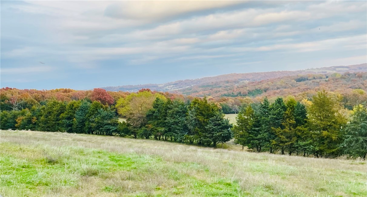 Berryville, Arkansas, 72616, United States, 6 Bedrooms Bedrooms, ,4 BathroomsBathrooms,Residential,For Sale,1988341