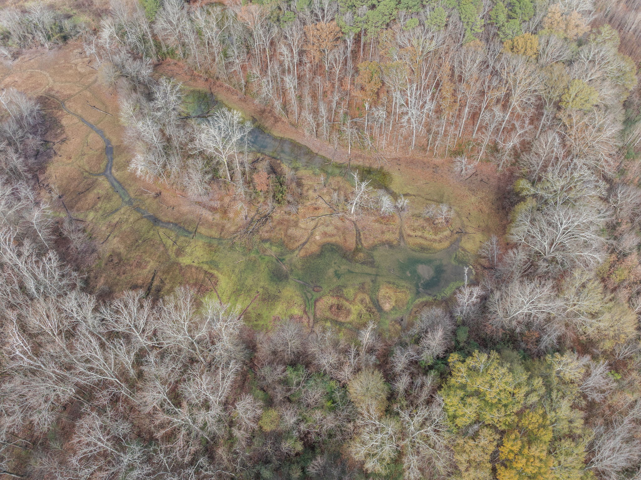 Hartselle, Alabama, 35640, United States, 3 Bedrooms Bedrooms, ,1 BathroomBathrooms,Residential,For Sale,2000334