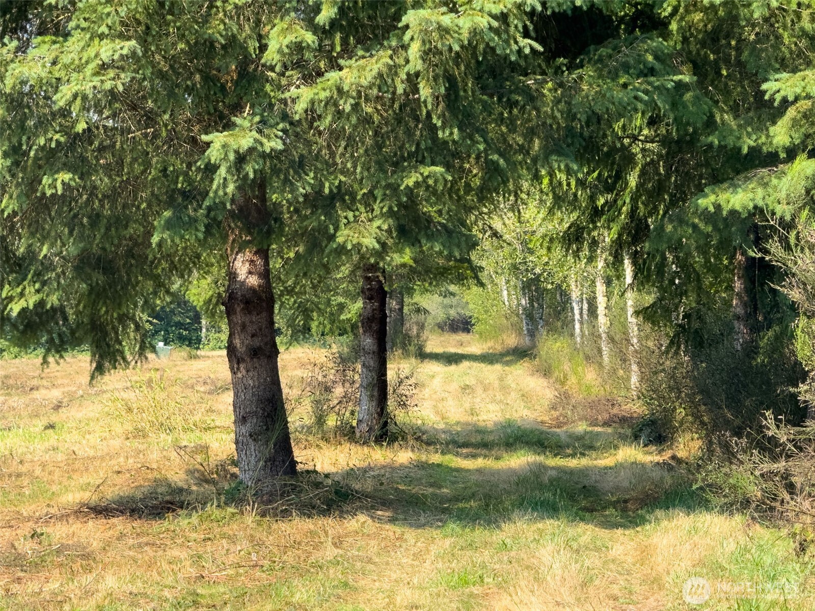 Onalaska, Washington, 98570, United States, ,Land,For Sale,1994245