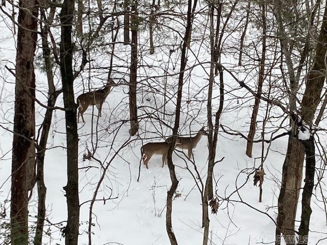 Little Rock, Arkansas, 72211, United States, 4 Bedrooms Bedrooms, ,4 BathroomsBathrooms,Residential,For Sale,1950270