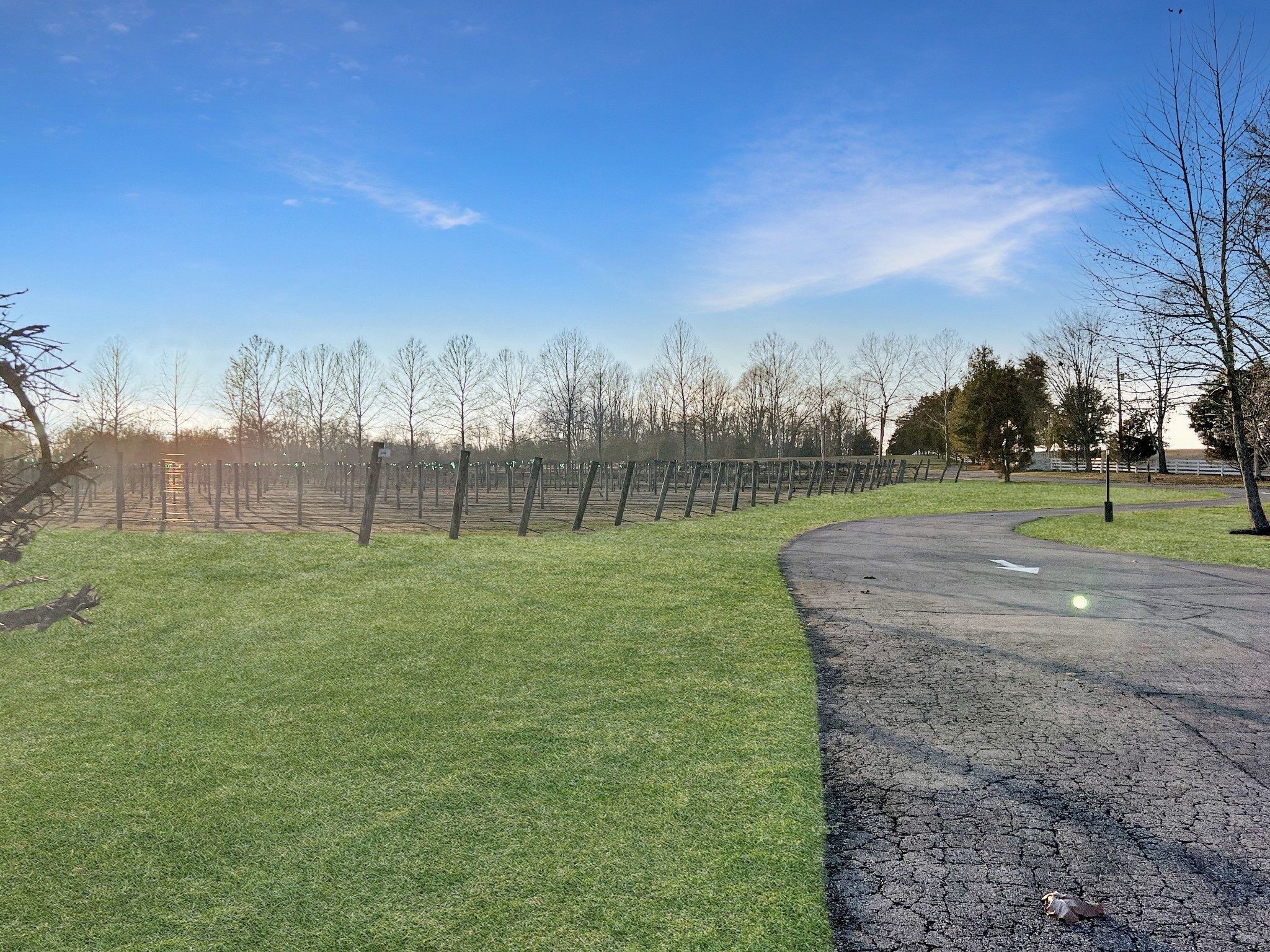 Paris, Tennessee, 38242, United States, ,Residential,For Sale,1996417