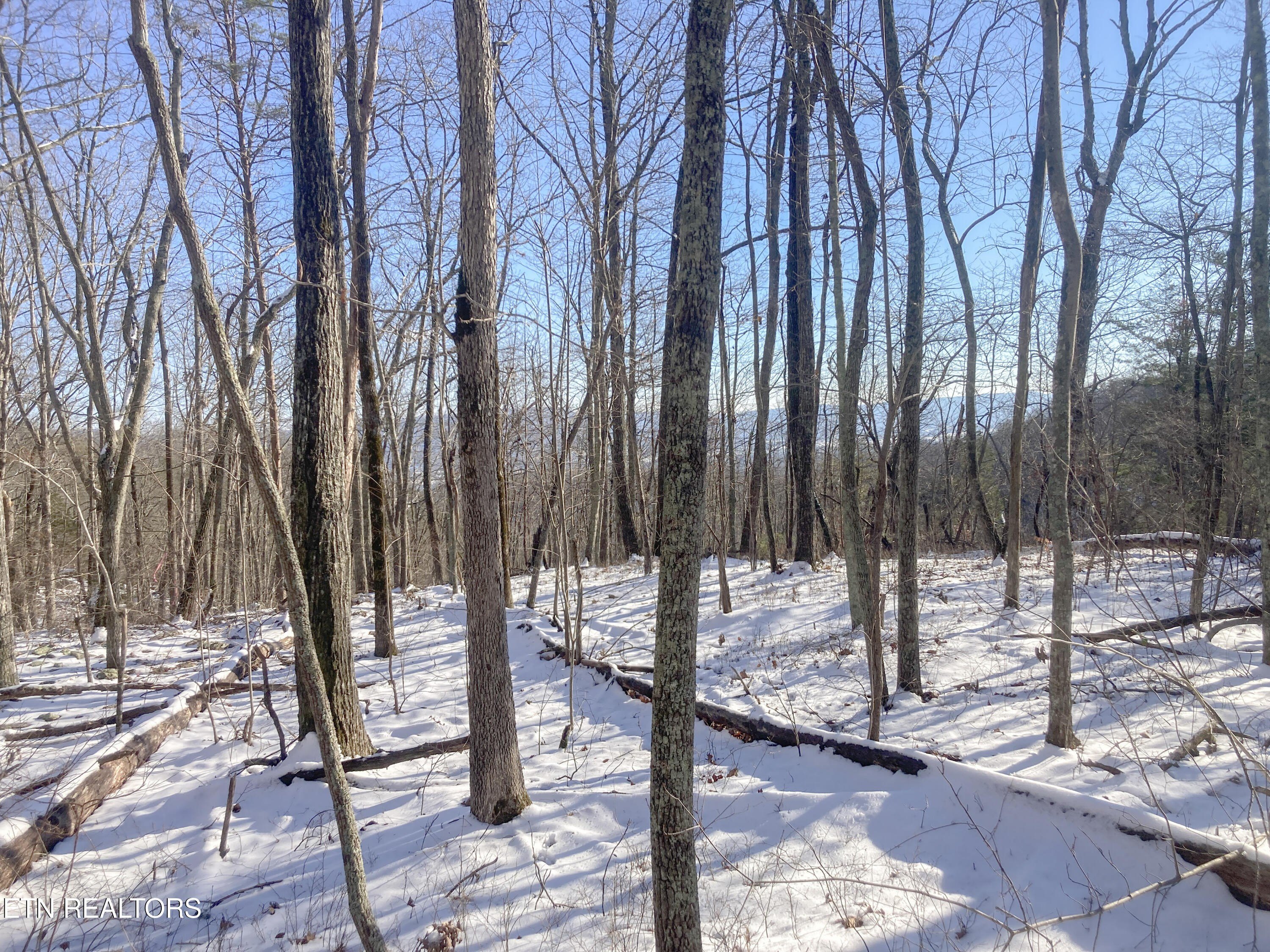 Pikeville, Tennessee, 37367, United States, ,Land,For Sale,2005286