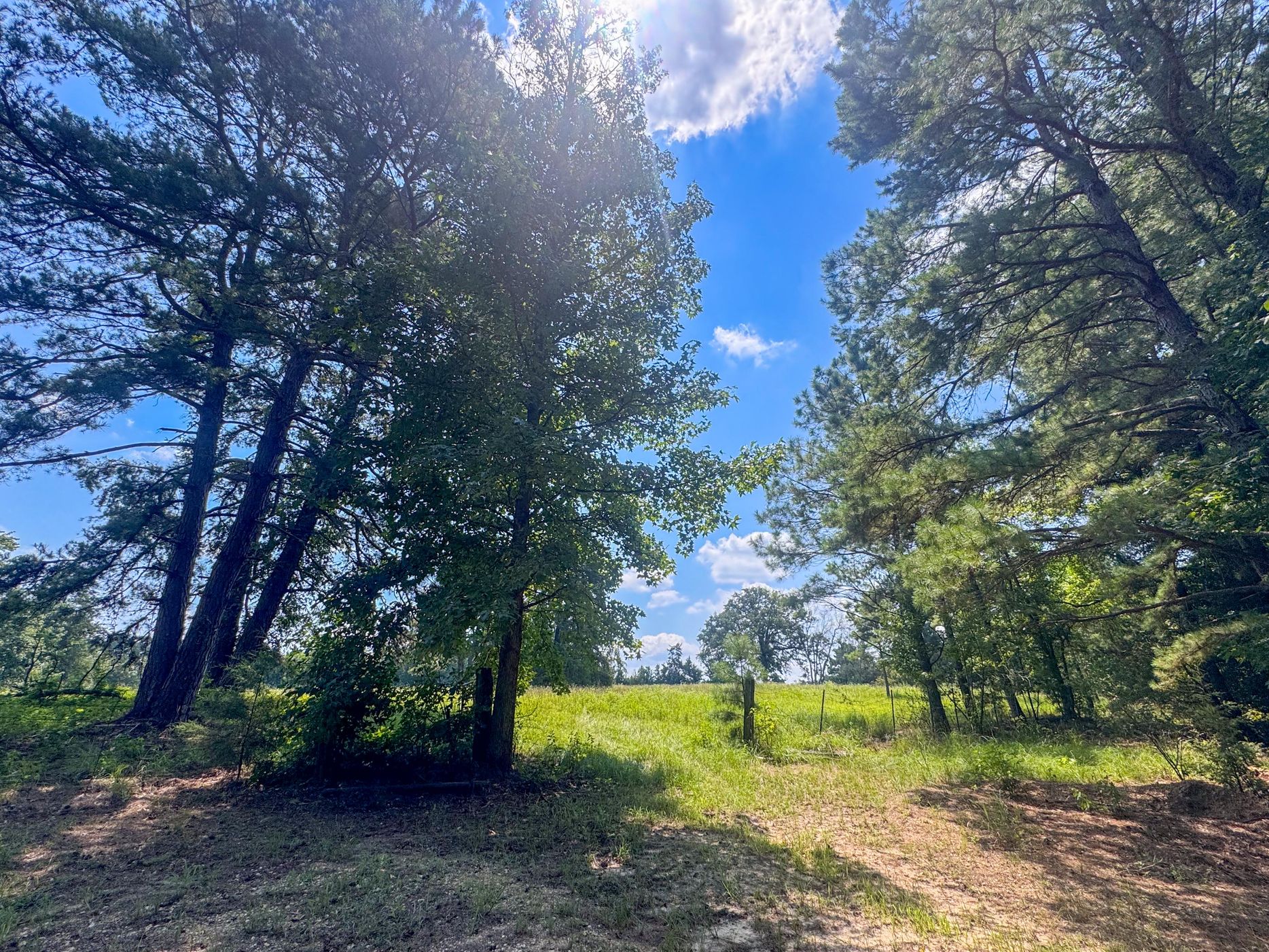 Douglassville, Texas, 75560, United States, 4 Bedrooms Bedrooms, ,3 BathroomsBathrooms,Residential,For Sale,1914297