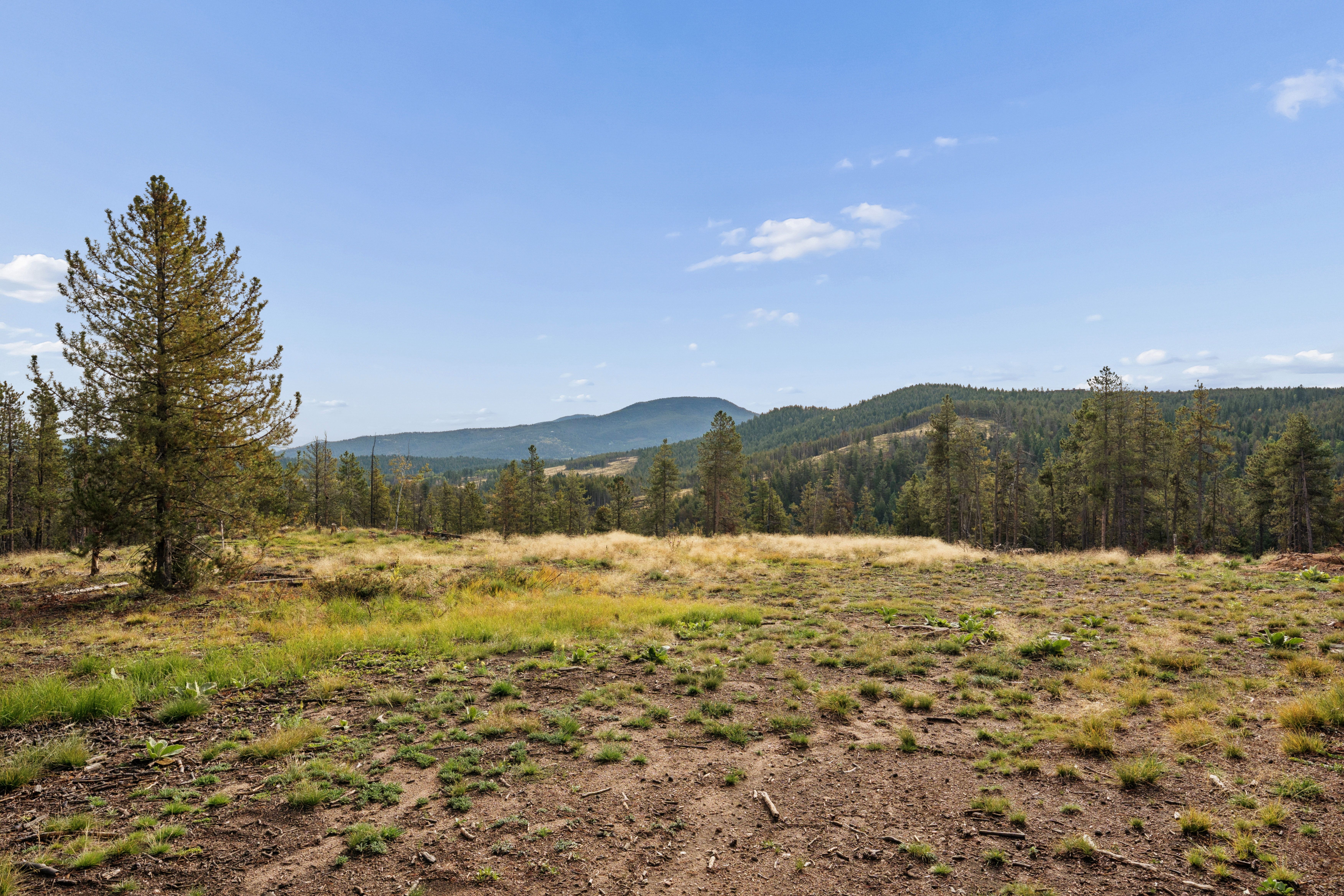  Opportunity to Build Your Foothills Dream Home with Over 7 Acres of Privacy - 物件實景