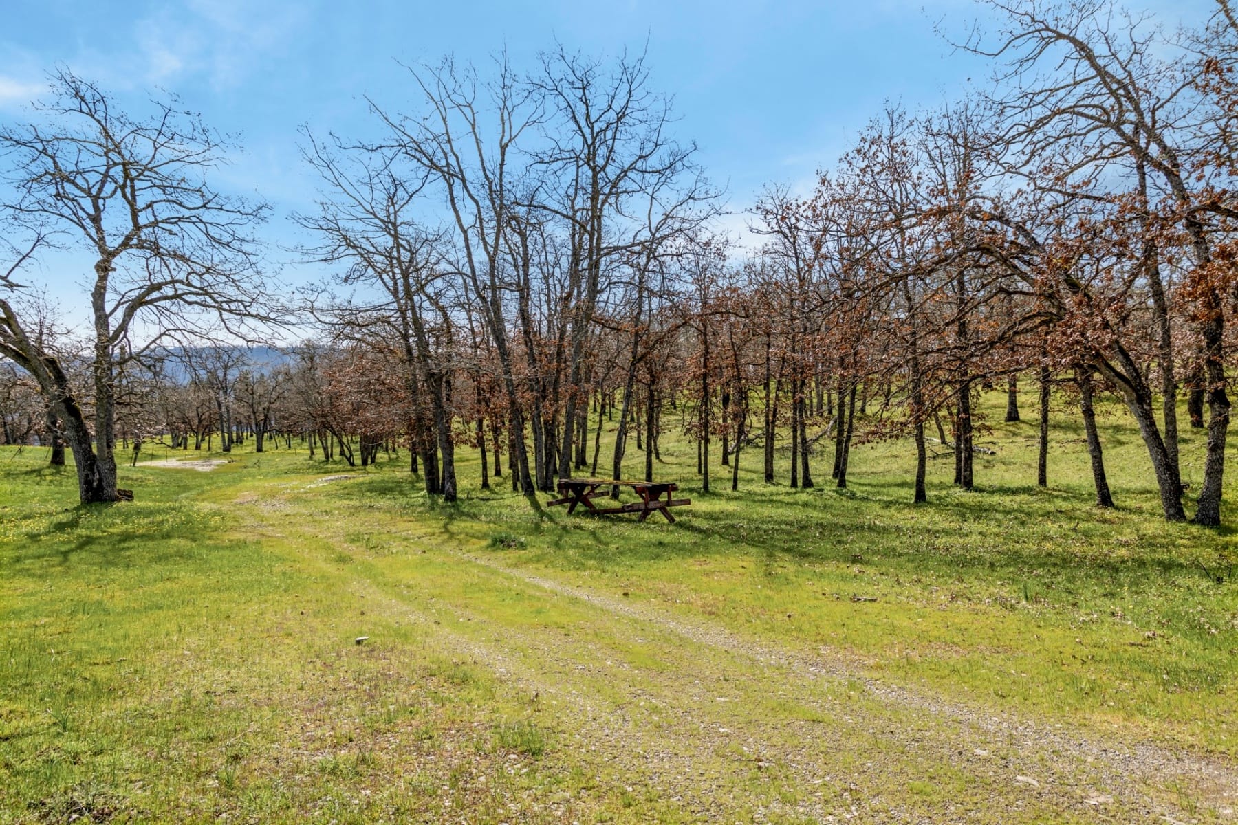  10 CANYON RD Lyle, WA 98635 - 物件實景