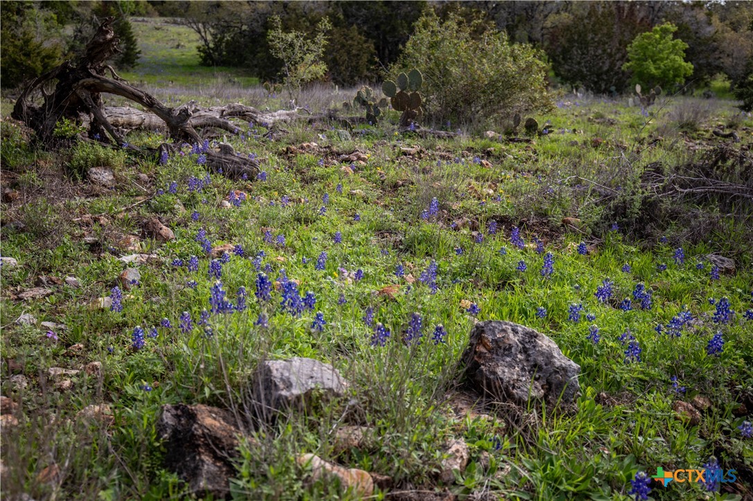 San Marcos, Texas, 78666, United States, ,Land,For Sale,1990898