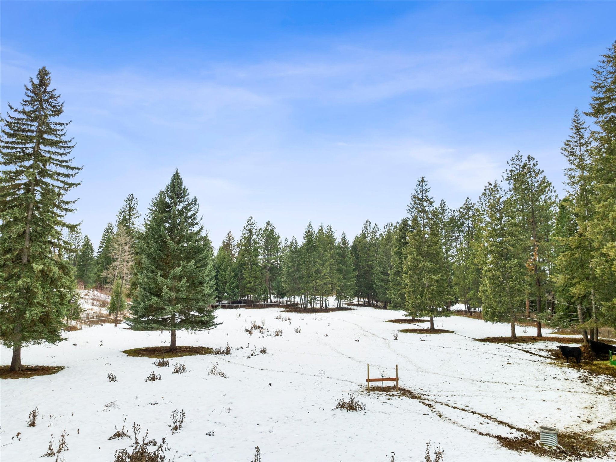 1985 Mt Highway 206, Columbia Falls, Montana, 59912, United States, 3 Bedrooms Bedrooms, ,1 BathroomBathrooms,Residential,For Sale,1985 Mt Highway 206,1672073