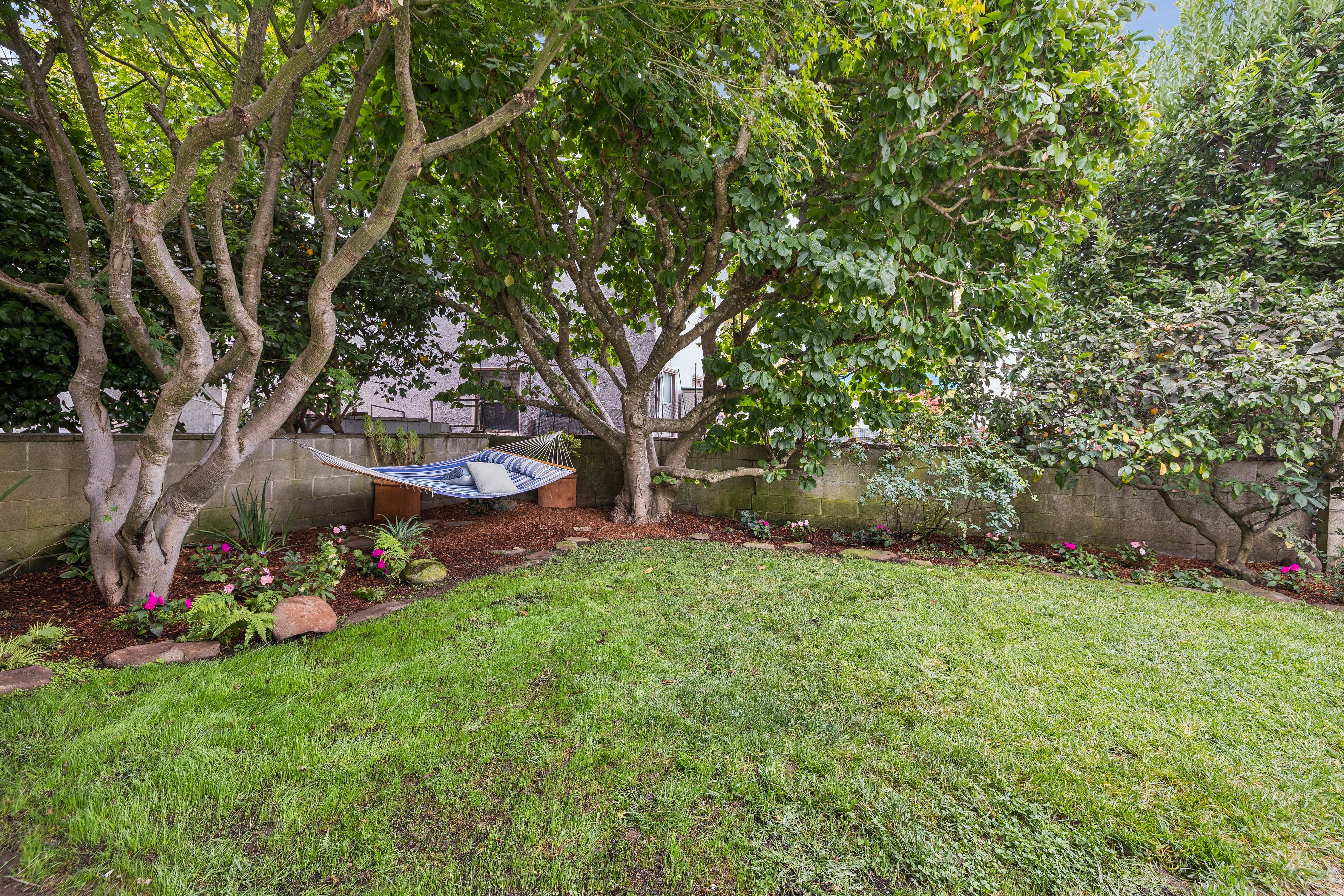  Mediterranean Elegance Meets Walker’s Paradise in North Berkeley - 物件實景