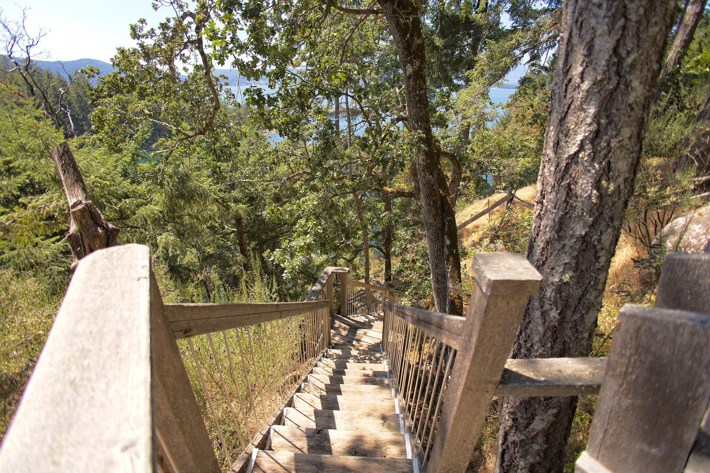  Firefly Cottage - 物件實景