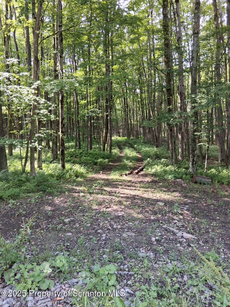 Union Dale, Pennsylvania, 18470, United States, ,Land,For Sale,1975755