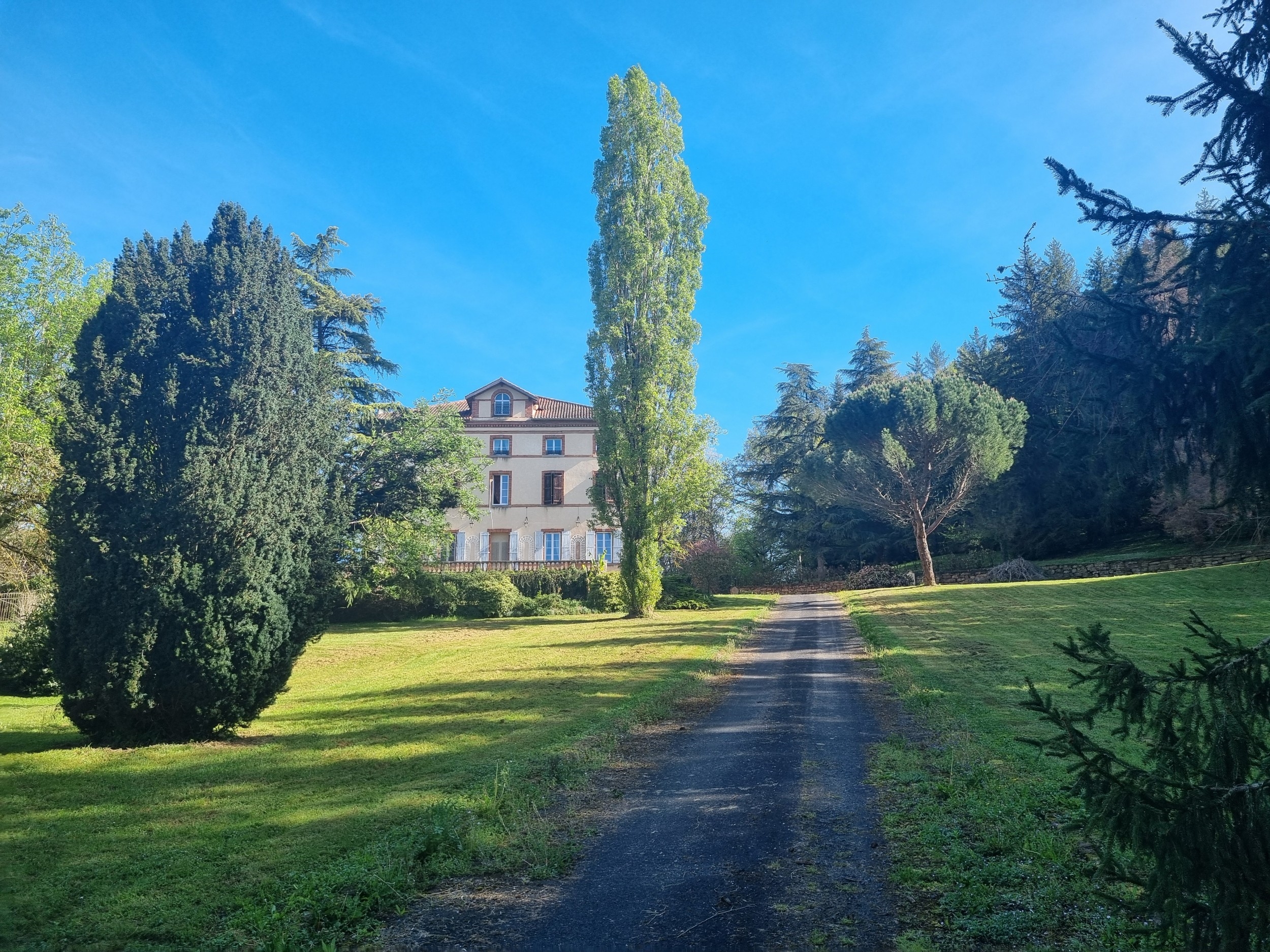  ALBI (30 MIN) - MANSION - 552 M2 - LAND 4 HA - 物件實景