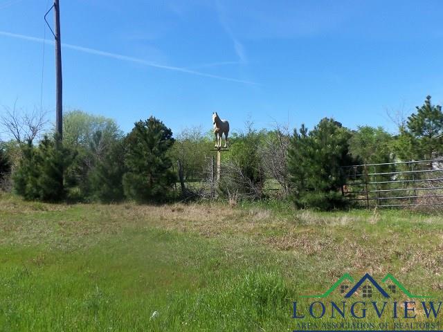 TBD U.S. HWY. 259 N., Kilgore, Texas, 75662, United States, ,Land,For Sale,TBD U.S. HWY. 259 N.,1542568