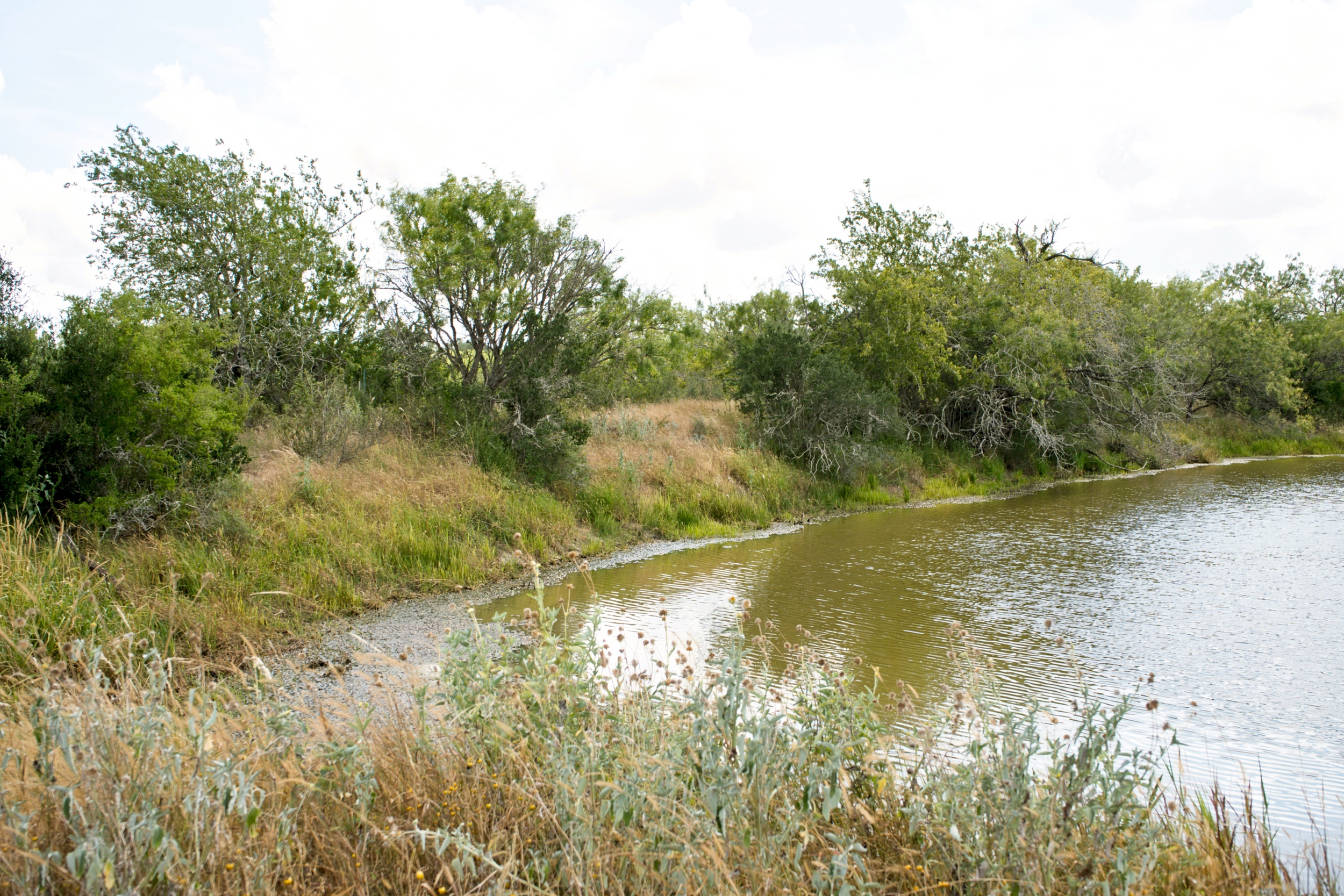  1234.89 +/- Acres, Santa Clara Ranch, Atascosa County, Falls City, TX 78113 - 物件實景