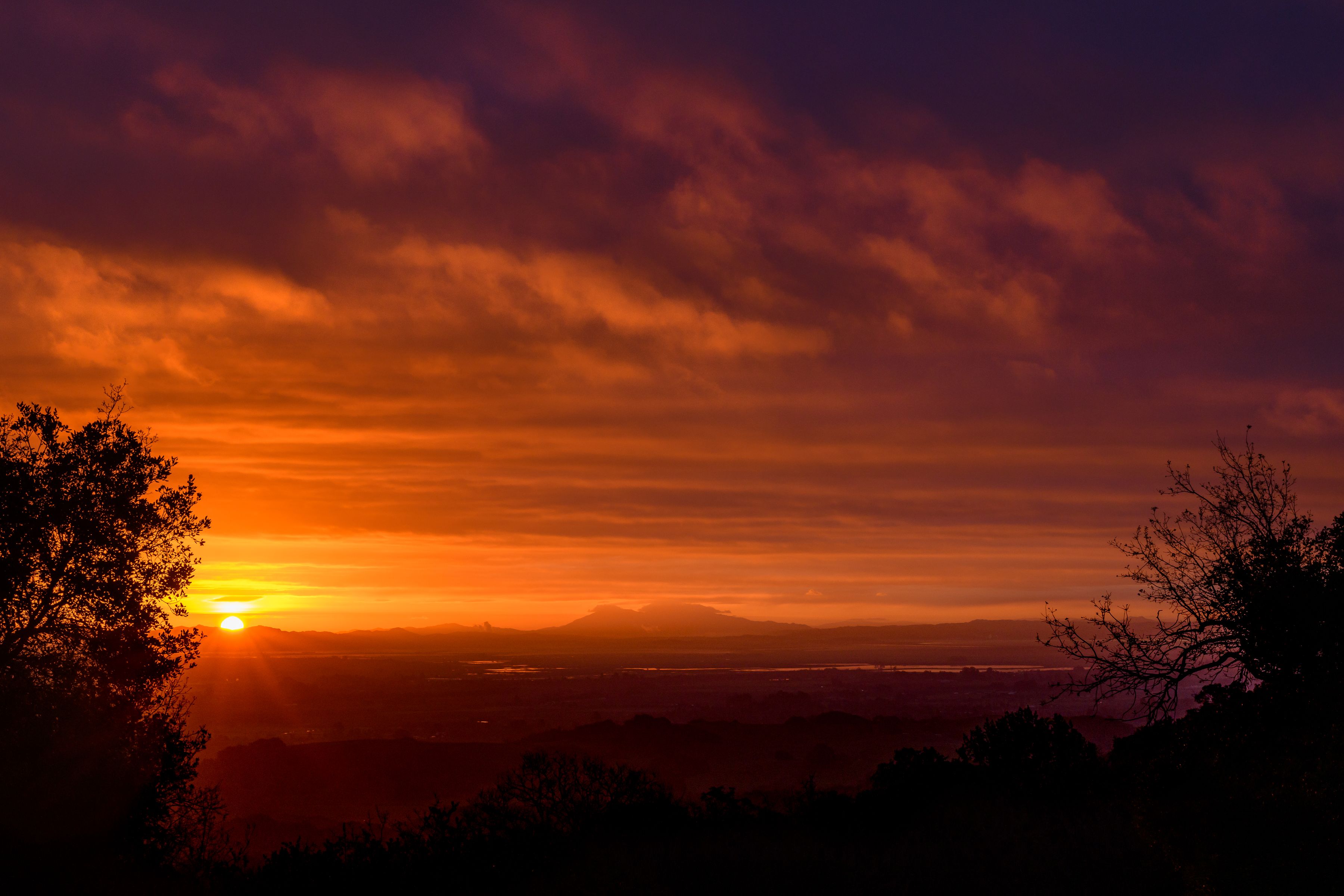  Elegance & Comfort in Sonoma - 物件實景