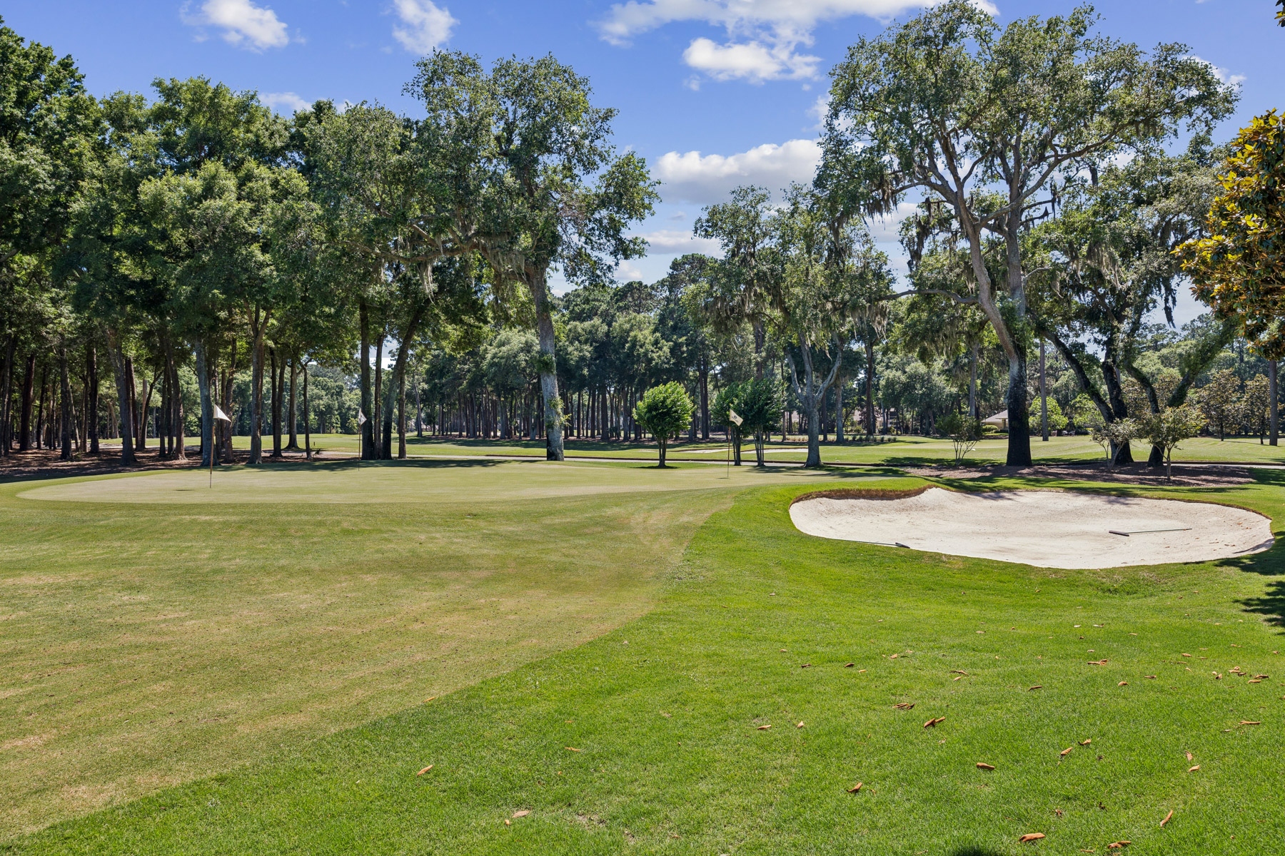  17 Balsams Court, Hilton Head Island - 物件實景