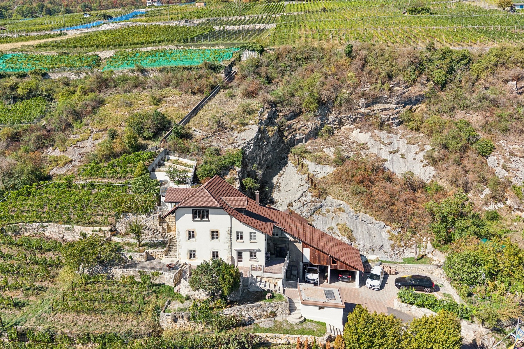  PURE VINES & THE HISTORY OF WINE-MAKING ON THE SHORES OF LAKE BIEL - 物件實景