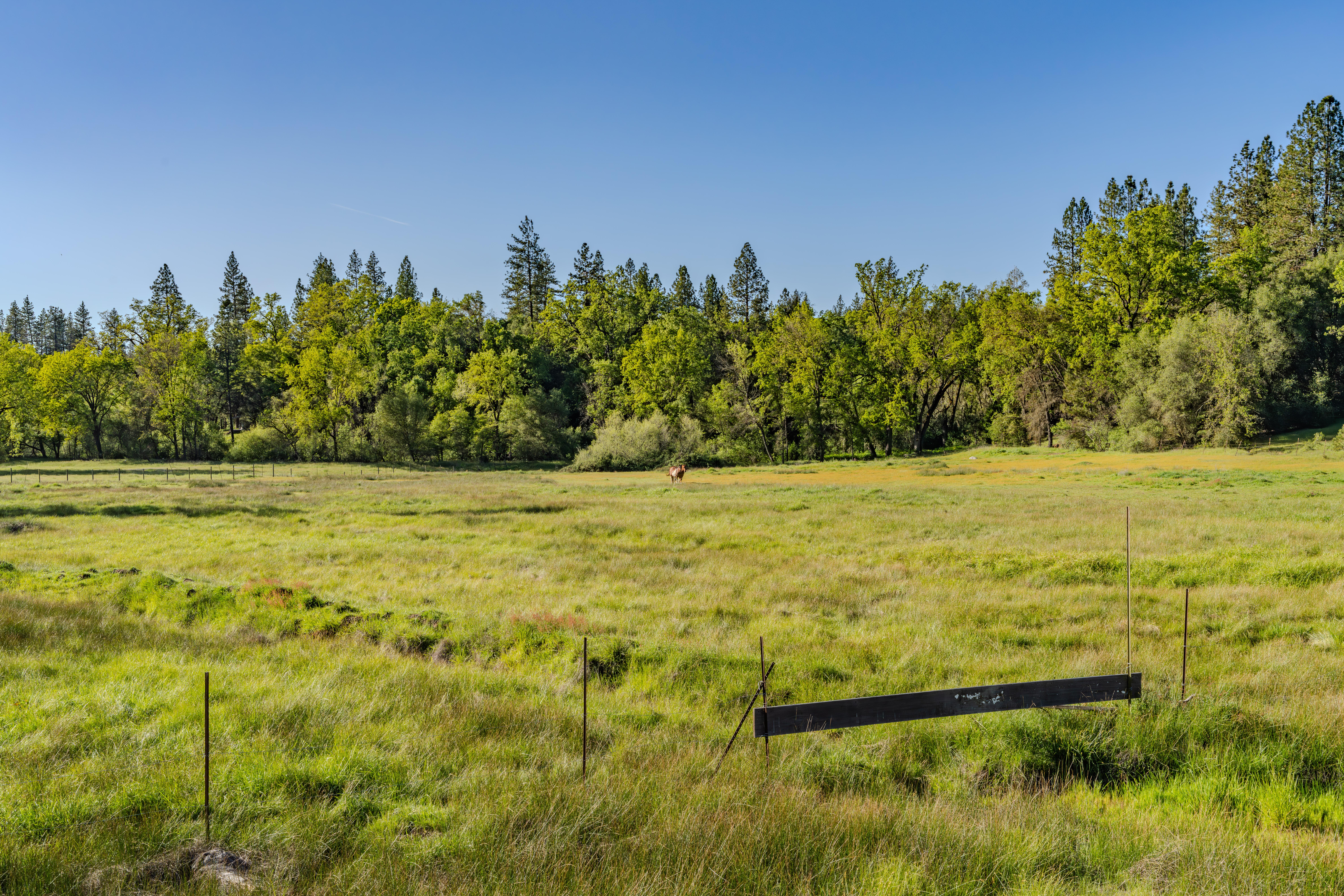  40 Acres - Fully Wheelchair Accessible - Indoor Pool - 物件實景