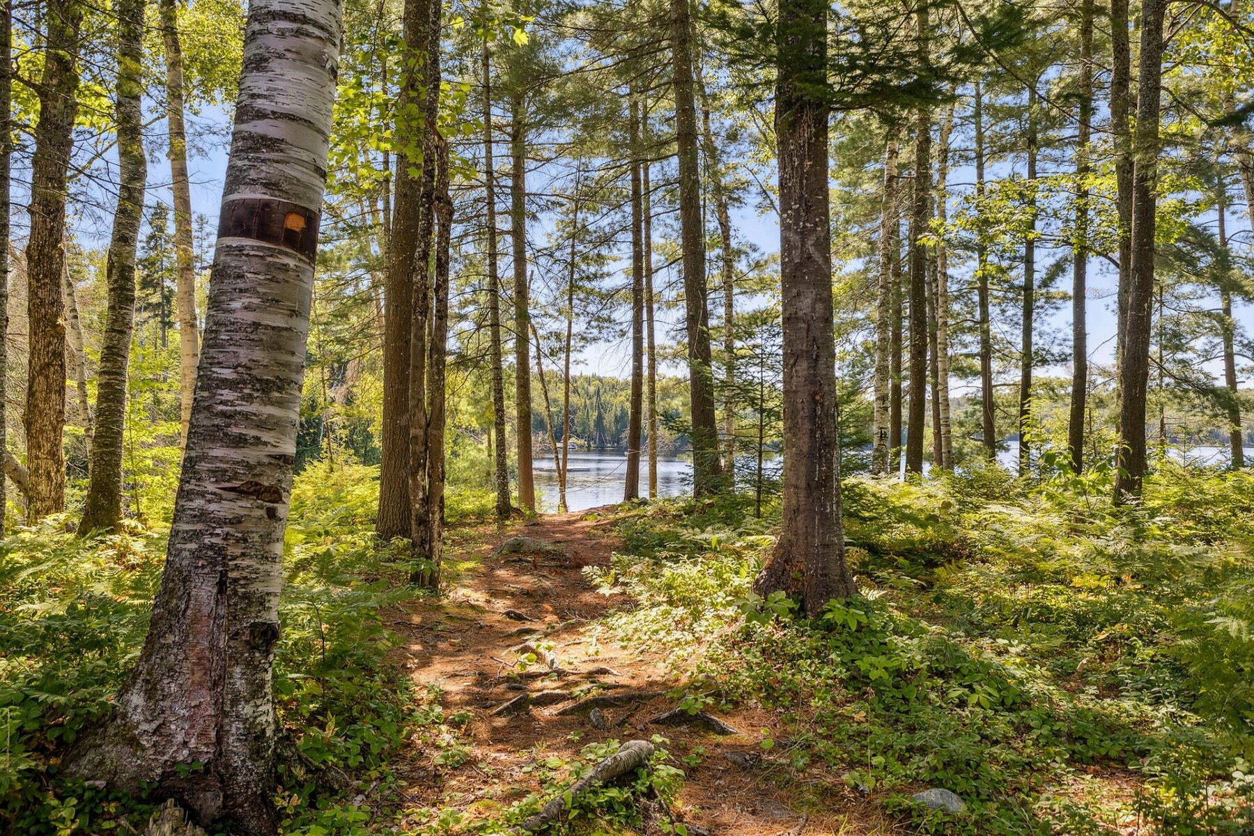  Rivière-Rouge, Laurentides - 物件實景