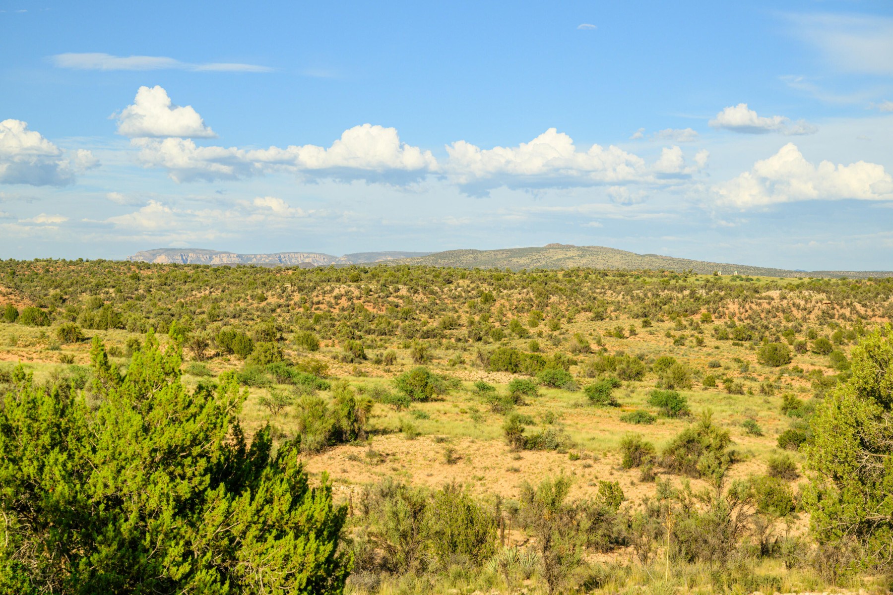  3090 E Martin Way  Cottonwood, AZ - 物件實景