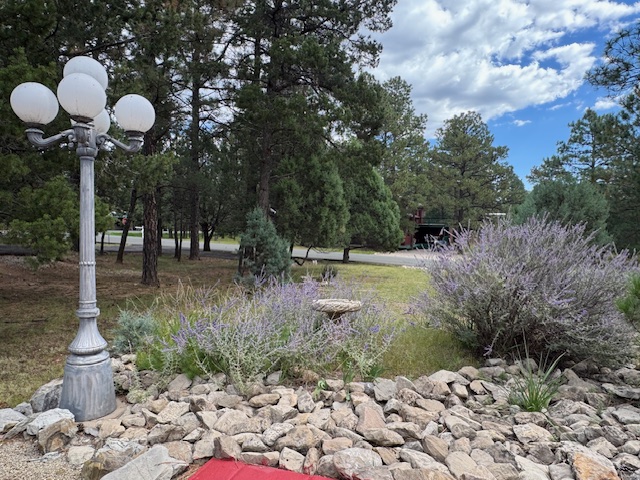 Alto, New Mexico, 88312, United States, 3 Bedrooms Bedrooms, ,2 BathroomsBathrooms,Residential,For Sale,1977265