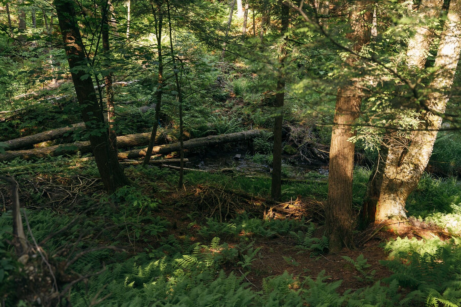  Sutton, Eastern Townships - 物件實景