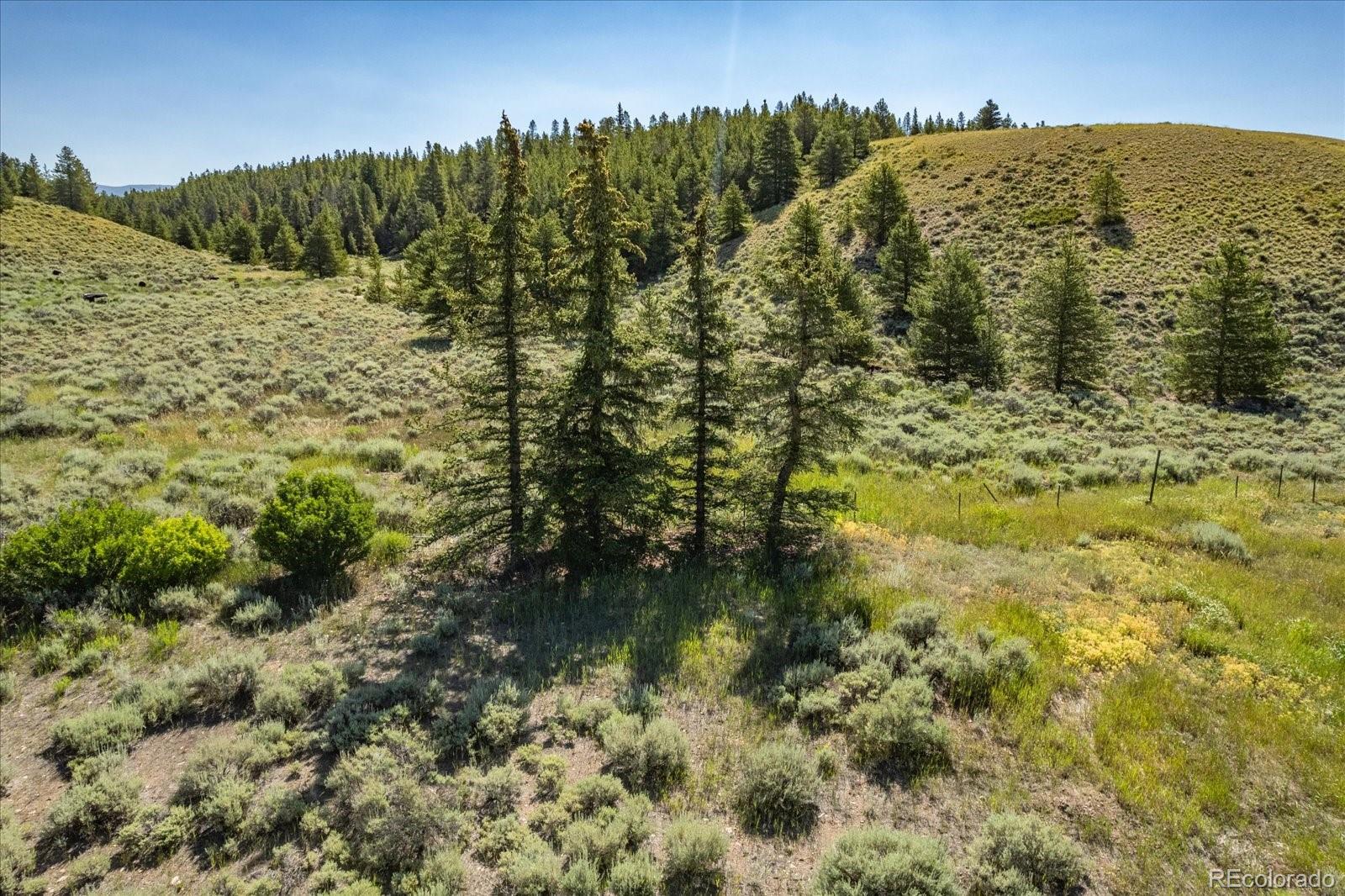 Leadville, Colorado, 80461, United States, ,Land,For Sale,1978663