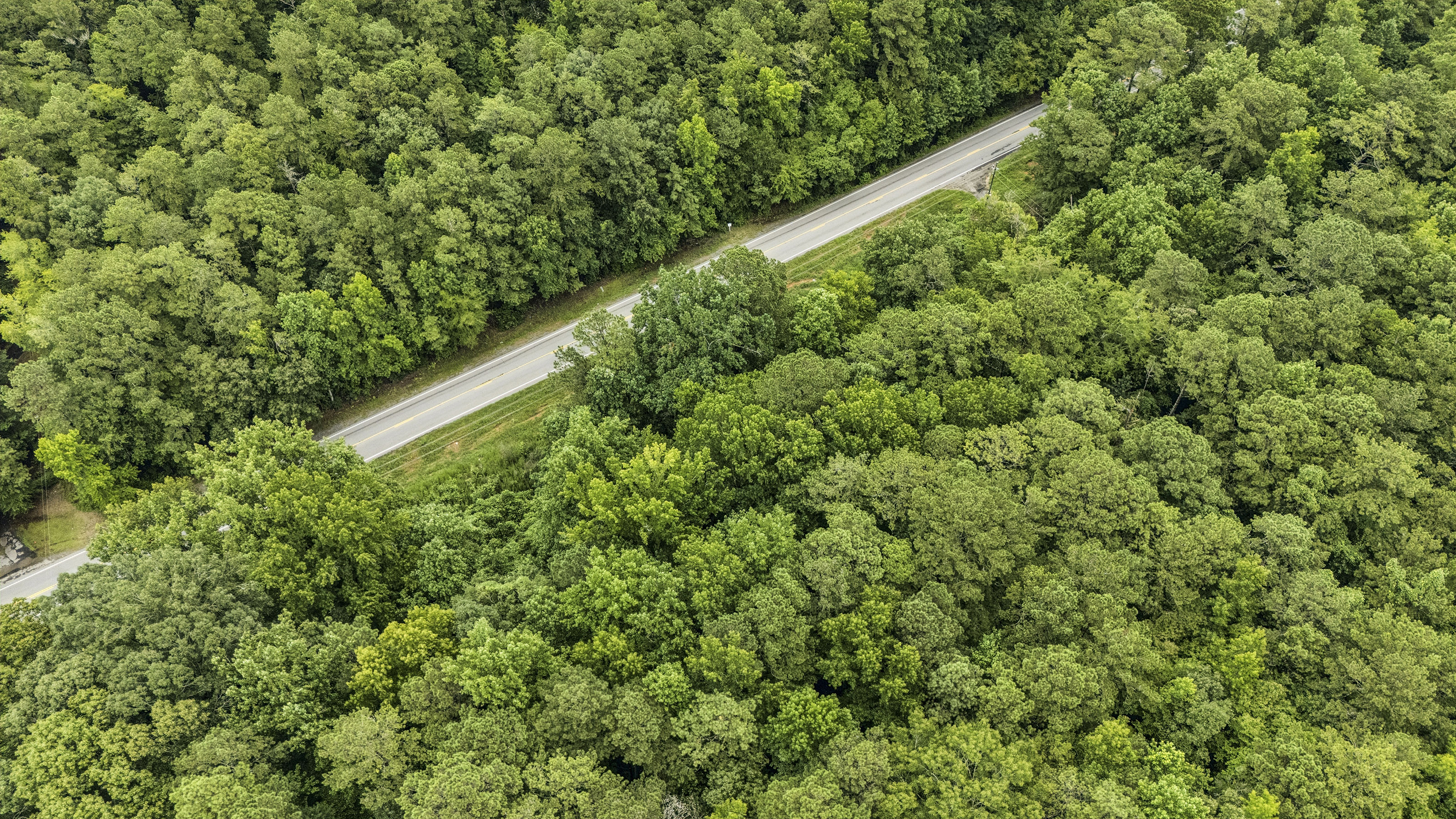  Incredible Development Opportunity on Over Ten Acres on Prime Stockbridge Site - 物件實景