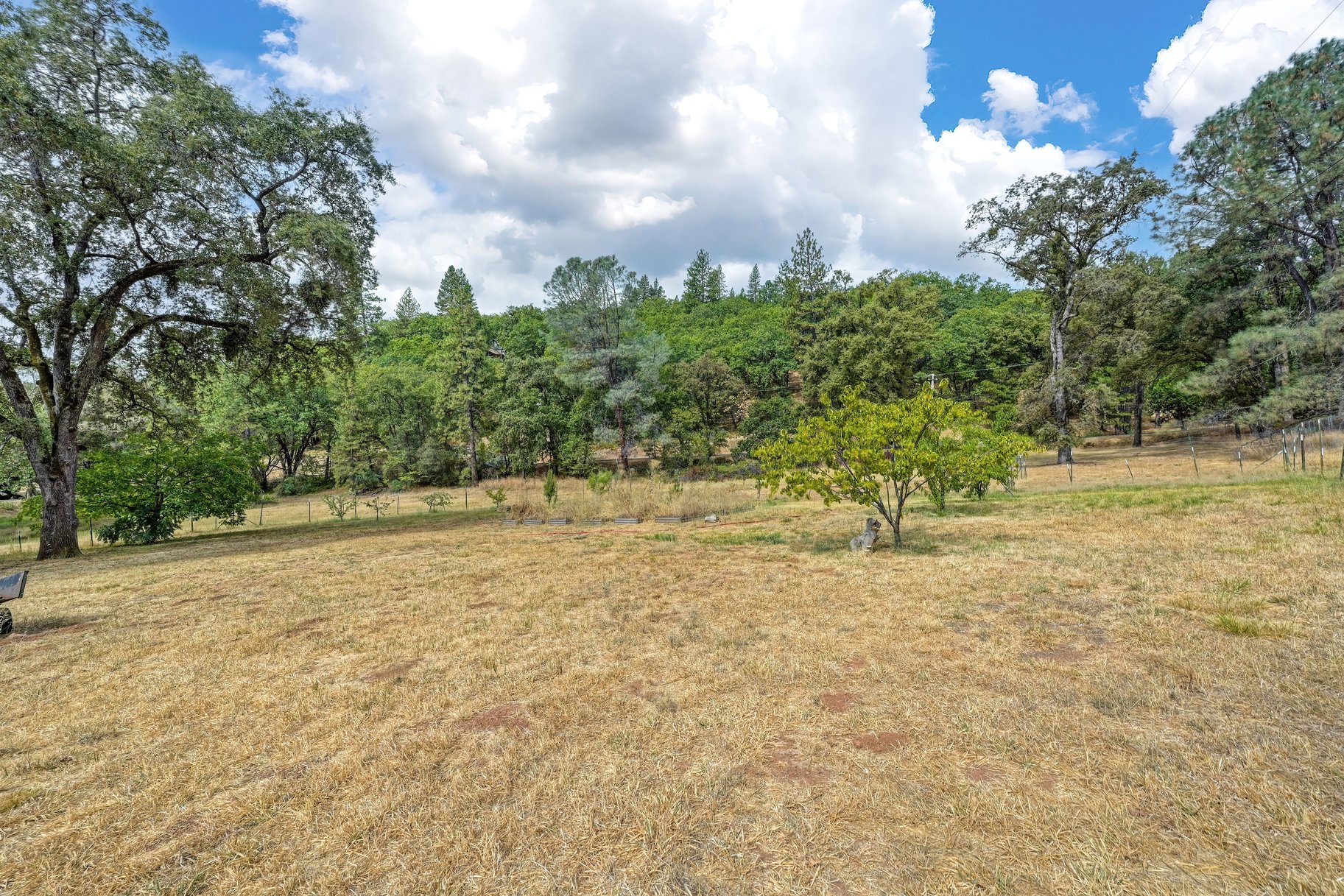  Spacious Grass Valley Country Property, 5 acres, shop and pond - 物件實景