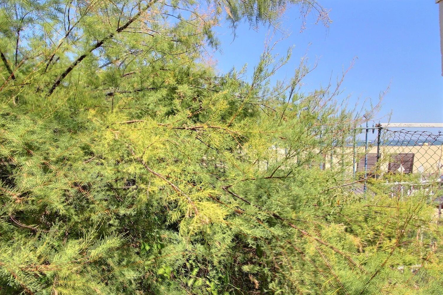 Arcachon, New Aquitaine, 33120, FR, ,Residential,For Sale,1995880