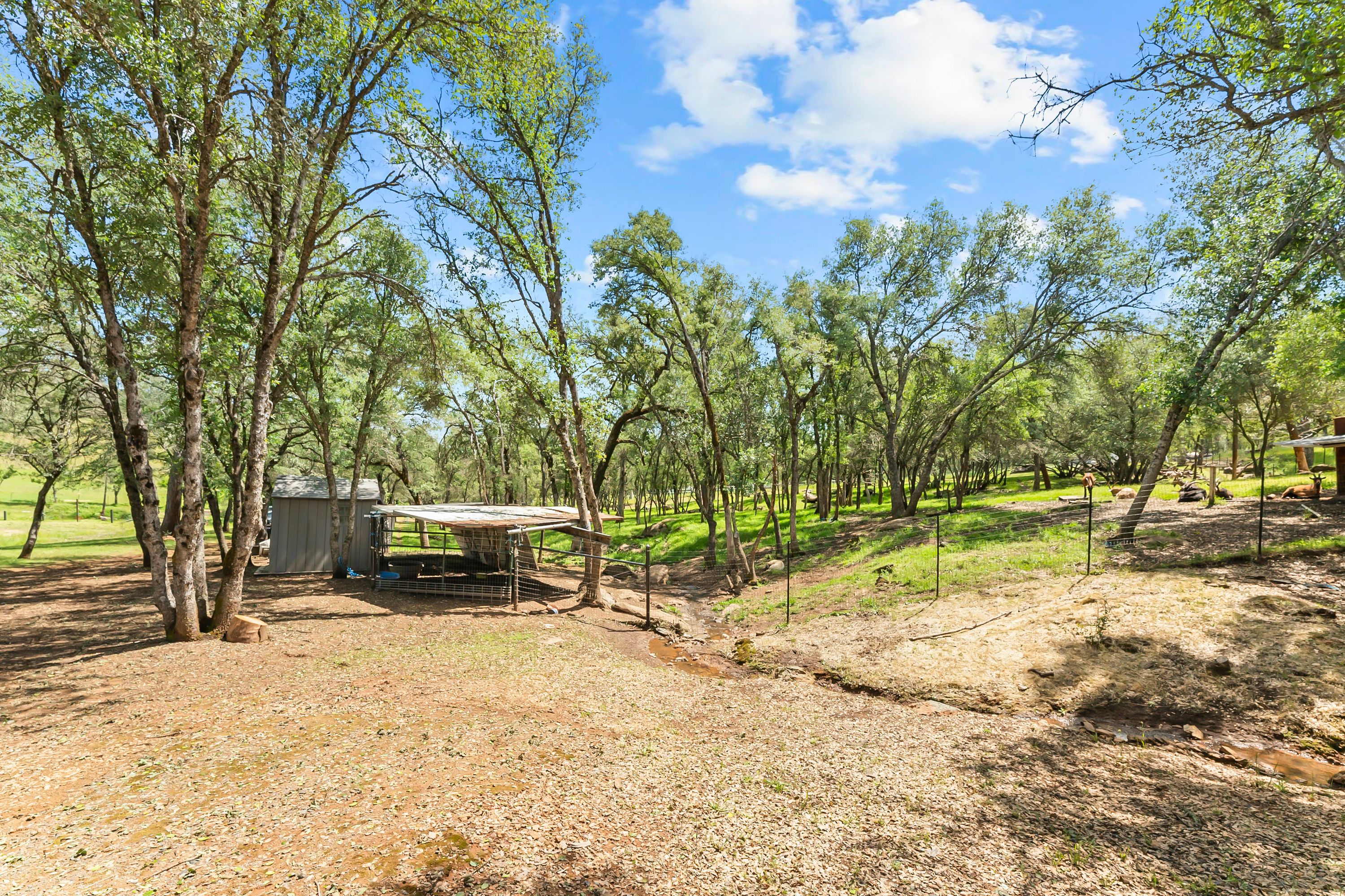  5990 Upper Ridge Way, Auburn, CA 95602 - 物件實景