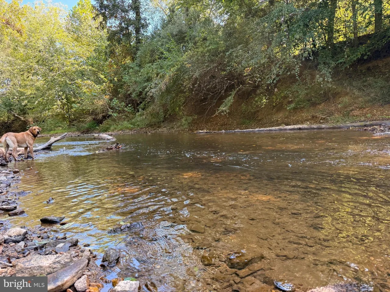 Appomattox, Virginia, 24522, United States, ,Land,For Sale,1982903