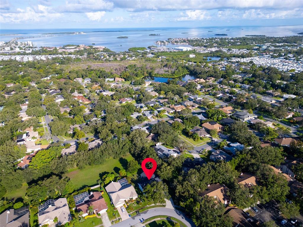 Palm Harbor, Florida, 34683, United States, 4 Bedrooms Bedrooms, ,3 BathroomsBathrooms,Residential,For Sale,1989112