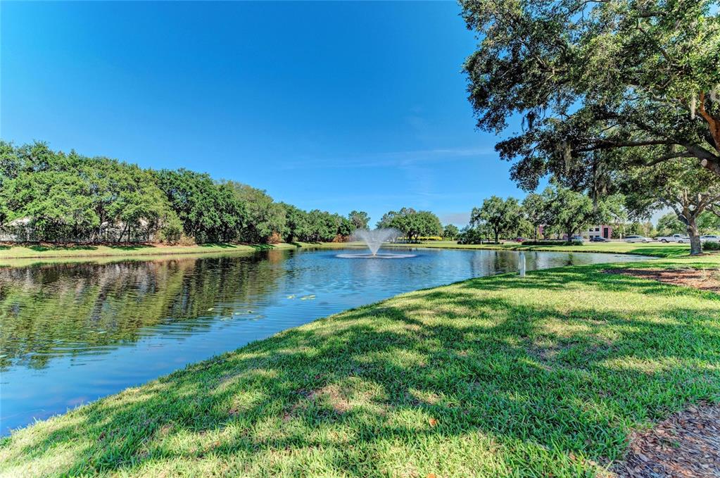 Lakewood Ranch, Florida, 34202, United States, 3 Bedrooms Bedrooms, ,2 BathroomsBathrooms,Residential,For Sale,1970113
