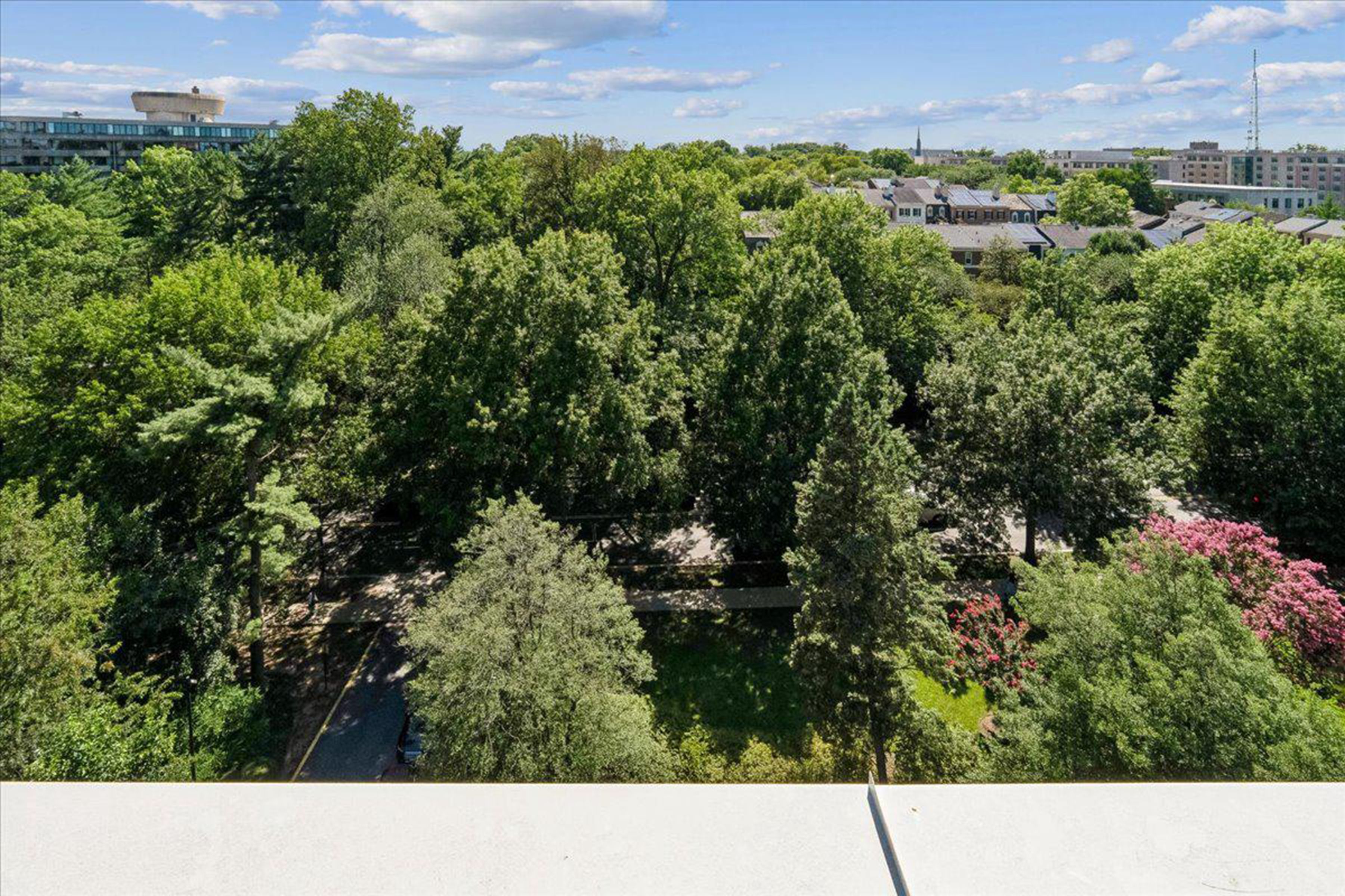  4301 Massachusetts Avenue NW, Washington, DC, 20016 - 物件實景