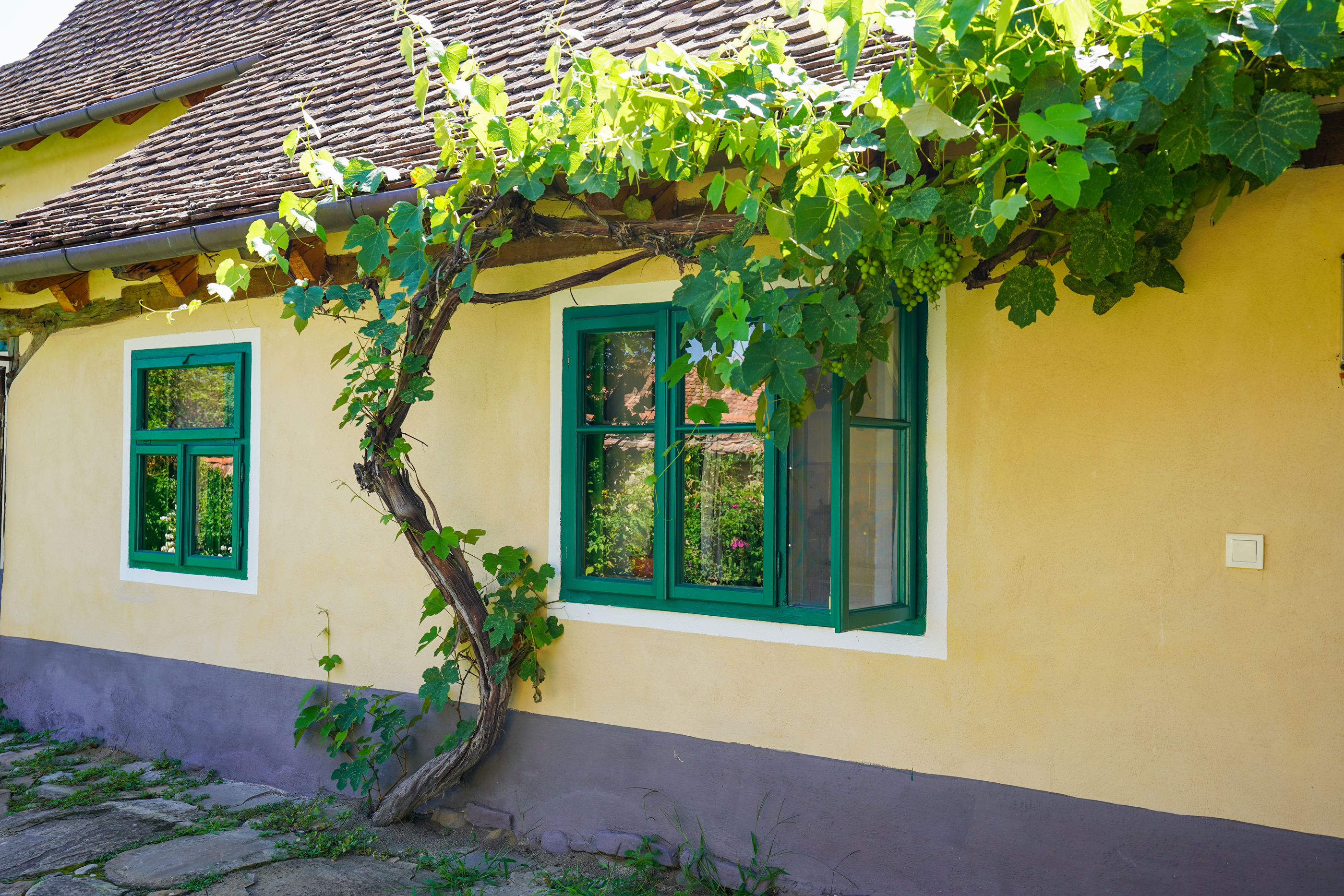  Restored Authentic Saxon House in Viscri, Between Heritage and Nature - 物件實景