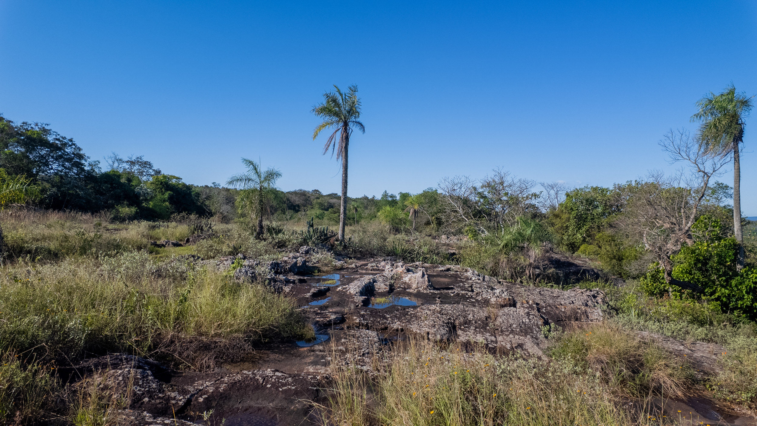  Country Estate for Sale in Caacupé, Paraguay  Country Residence - 物件實景