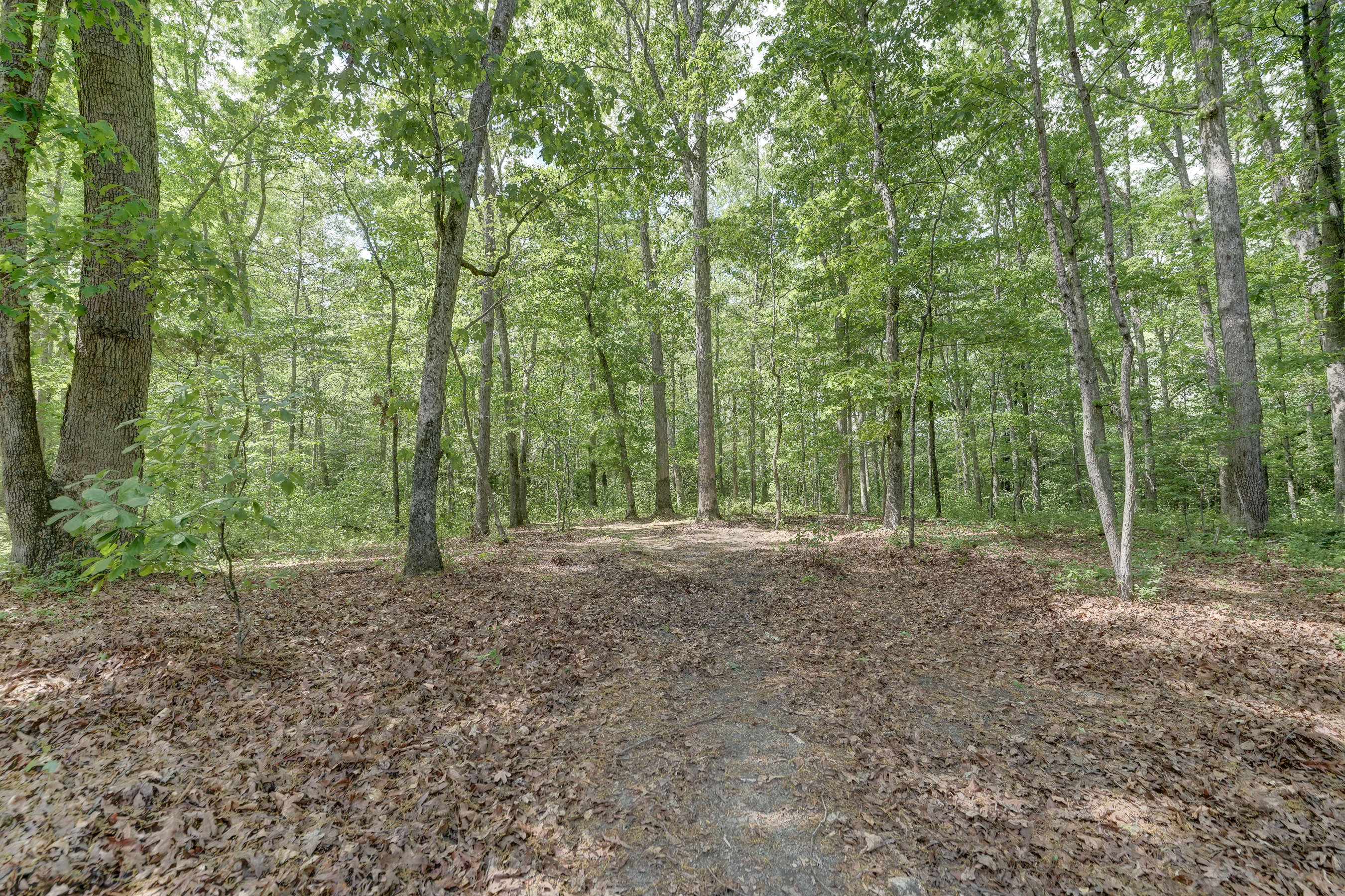  6716 Church Road, Petersburg, VA 23803 - 物件實景