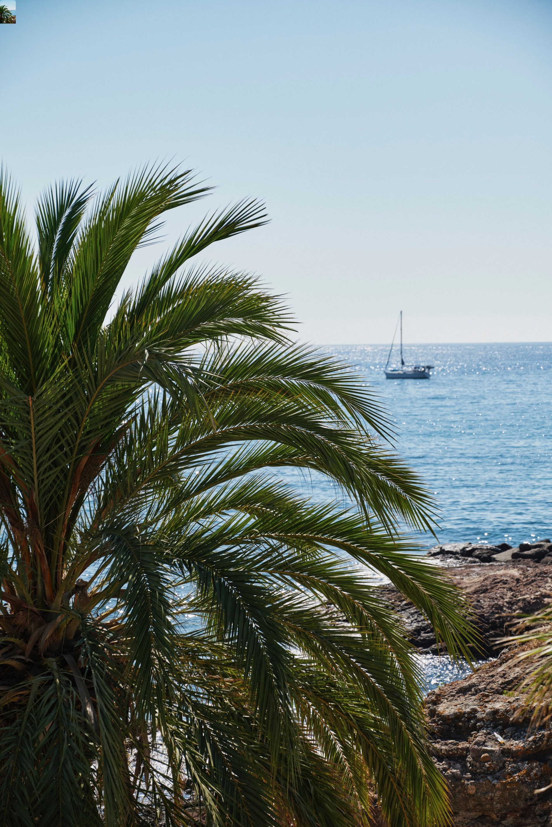  Mandelieu-la-Napoule, contemporary seafront villa with pool and Mediterranean v… - 物件實景