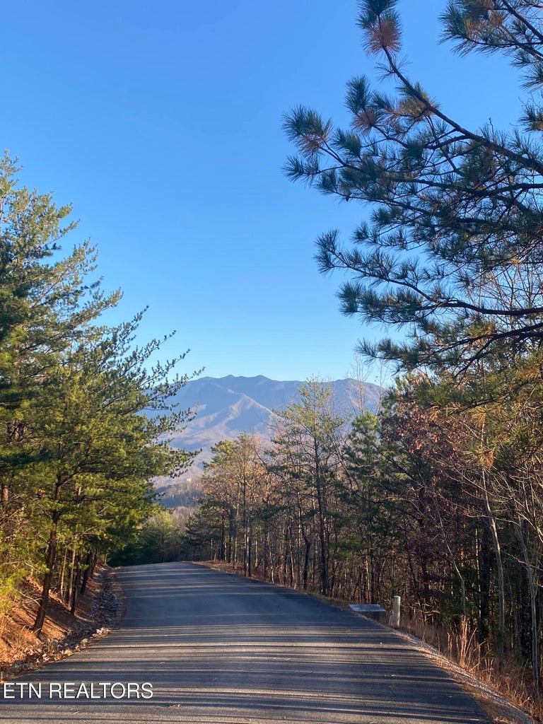 Gatlinburg, Tennessee, 37738, United States, 3 Bedrooms Bedrooms, ,3 BathroomsBathrooms,Residential,For Sale,1982516