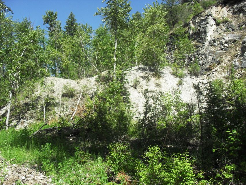 Northport, Washington, 99157, United States, ,Land,For Sale,1982244