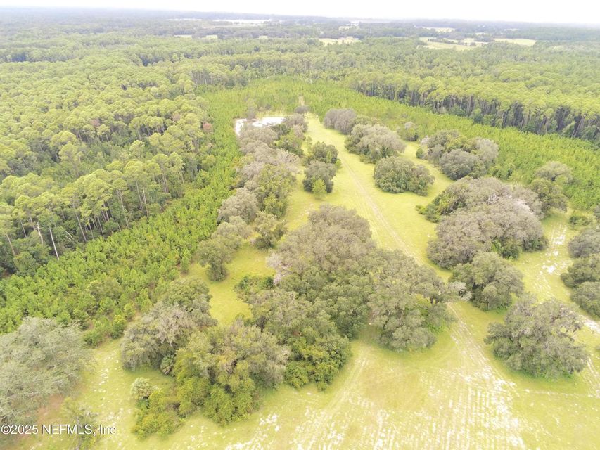 Crescent City, Florida, 32112, United States, ,Land,For Sale,1974247